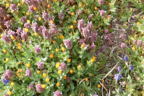 dscf9406caaaaaaaaaaaaa