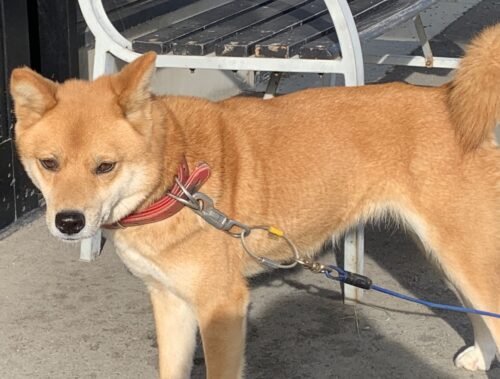 3f77790e-a02a-4a9b-86c9-45790c38446faaaa