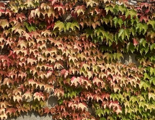 8c64fcfb-d37b-416e-ba2e-f3df31dd63ccaaaa